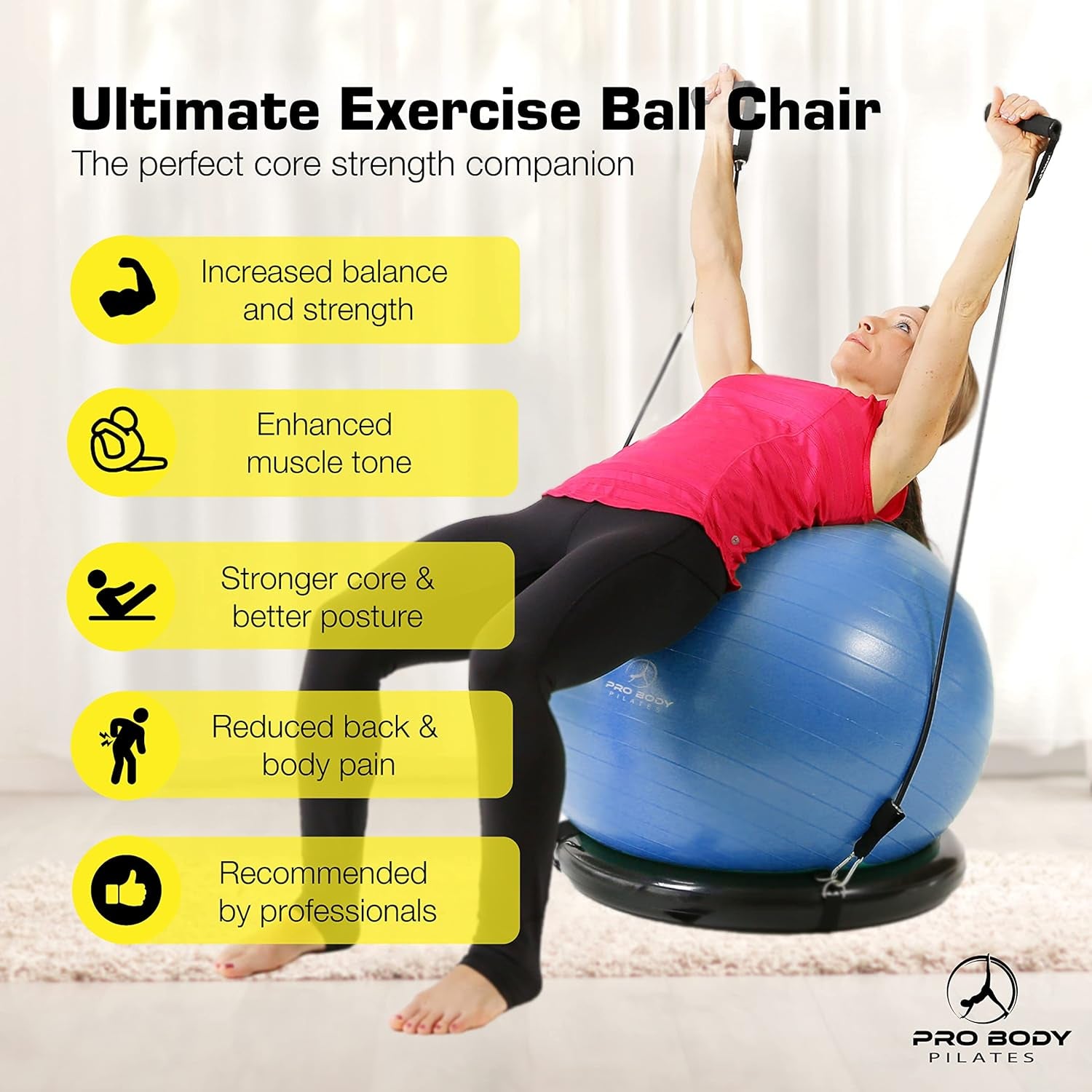 Yoga Ball Chair, Exercise Ball Chair with Base or Stand for Home Office Desk Sitting or Workout, 65Cm Antiburst Balance & Stability Ball Seat, Large Gym Ball for Back, Abs