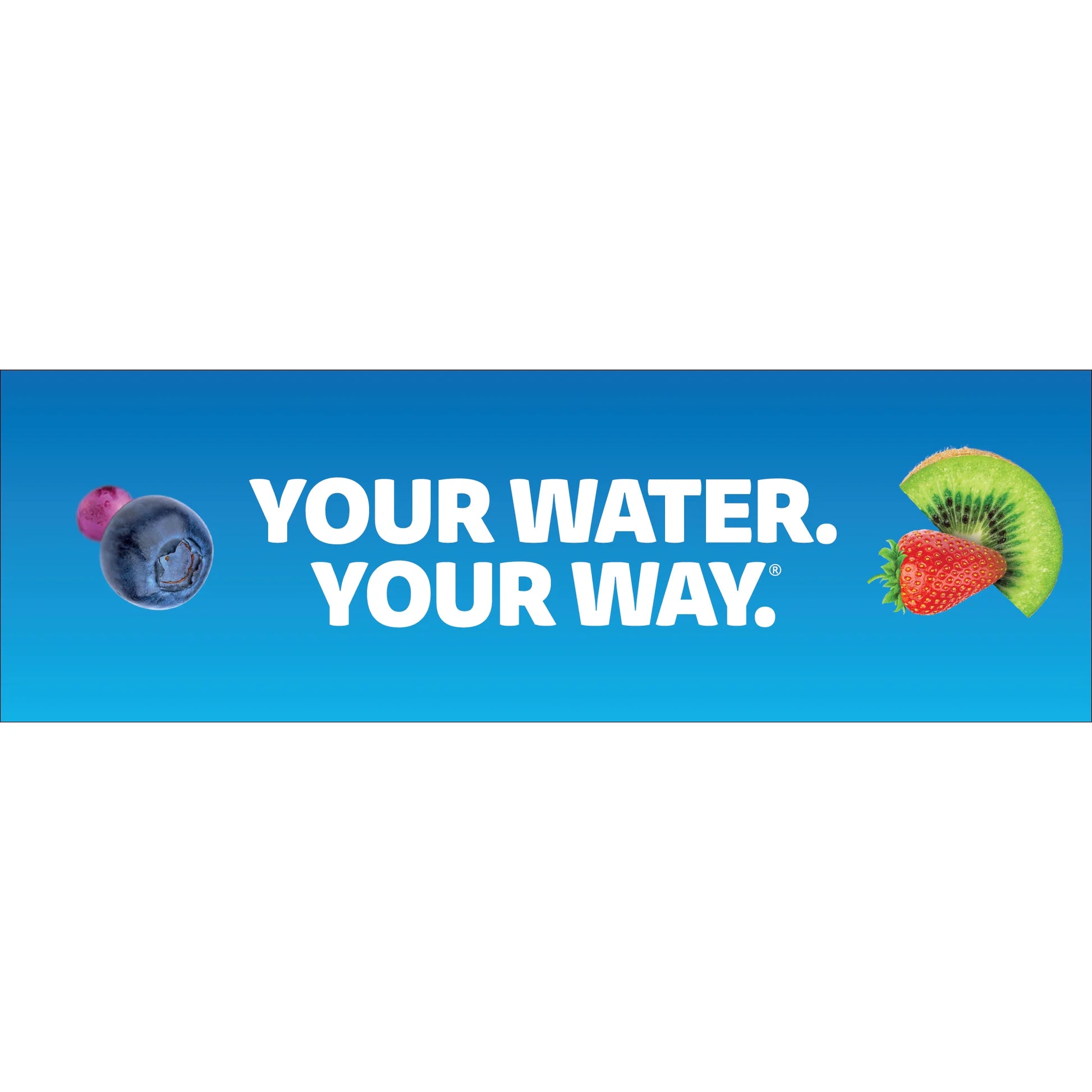 32Oz Plastic Starter Kit with Navy Blue Lid, 2 Flavor Cartridges (Blueberry Grape & Kiwi Berry)